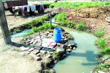A tap and tubewell near an open drain in Ward 33. 