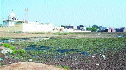 A huge sewage pond near the historic Sikh shrine at Sultanwind village in Ward 33.