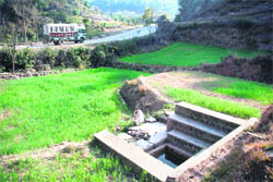 A drying fresh water spring near the Mansar Lake in Samba.