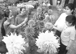 Tiny tots admire flowers during the state-level flower show at Baradari Gardens in Patiala on Saturday