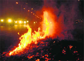 The ban on burning of leaves goes up in smoke in Chandigarh. 