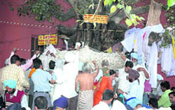 Pilgrims worship a peepal tree in Pehowa