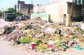 Heaps of garbage lying in Jawahar Nagar camp in Ludhiana