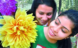 The annual flower show at the Jawahar Garden in Jalandhar Cantonment left everyone charmed.
