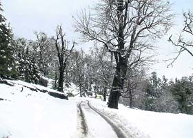 Fresh snow at Kalamuni, the gateway to Munsiyari tehsil of Pitthoragarh district