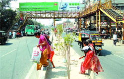 People prefer crossing the road through the divider, while the foot overbridge is hardly used in Amritsar
