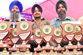 Gurmeet Singh Sohi, Swaran Singh Chandi and Manjit Singh Ghuman, winners of crop produce competition at the PAU Kisan Mela, in Ludhiana