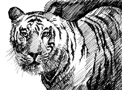 Illustration: Kuldeep Dhiman