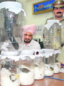 The five Pakistan-made hand grenades that were recovered from the possession of the alleged BKI terrorists in Mohali.