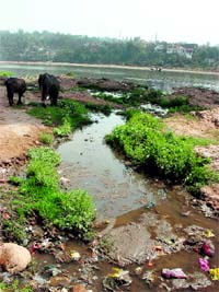 A drain that carries sewage into the Tawi in Jammu. Tribune photo: Anand Sharma