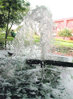 Water oozing out of a tertiary water pipeline in the Garden of Annuals, Sector 44, Chandigarh, on Wednesday.