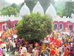 Final day of the historic Devta Mela saw hill gods kept at Mahamaya temple at Sundernagar.