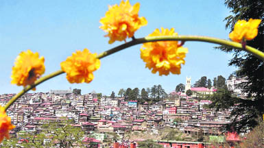 A view of Shimla city