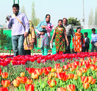 Tourists at Asias biggest Tulip Garden in Srinagar. The garden with 16 lakh plants was thrown open to the public on Thursday. 