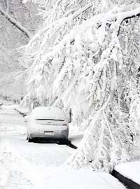 A lone vehicle is parked along the kerb as branches bend under heavy snow after a spring storm swept over Denver