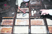 Health officials seize cheese with thick layers of fungus from the Haibowal Dairy Complex in Ludhiana on Friday.