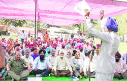 A trade union leader addreses a rally in Ludhiana on Friday. 