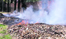 Dry leaves being burnt in front of the DC’s office in violation of norms in Ludhiana on Saturday.
