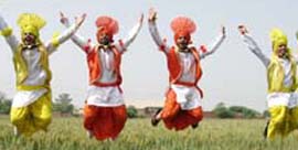 Students of the Central University performing bhangra ahead of Baishakhi in Bathinda on Sunday. A Tribune photograph
