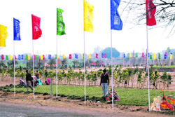 The ground being cleared and venue being decorated to attract real estate investors on the Mullanpur road beyond PGI.