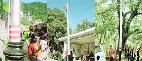 Street light poles on which advertisements are proposed to be painted in Shimla