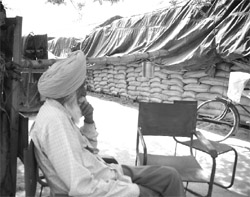 As a lot of wheat stored in the open gets damaged, Punjab needs more silos