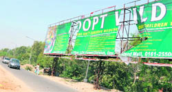 A hoarding put up by the forest department for animal adoption scheme which has been damaged by miscreants