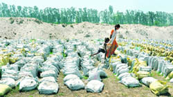 Children play near a pit dug up to dispose of explosive scrap material at Sekhewal village. 