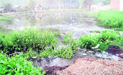 he overflowing pond in Garhi Tarkhana village in Machhiwara. Photo by the writer