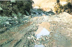 A view of the dilapidated road leading to the Rampur hydel project.