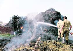 Firemen douse flames that destroyed wheat straw.