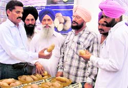 Farmers at an exhibition organised by the Central Institute for Post Harvesting and Engineering Technology in Ludhiana on Tuesday. Tribune photo: Inderjit Verma