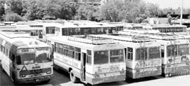 The Haryana roadways buses parked at the bus stand