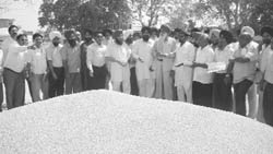 Punjab Mandi Board Chairman Ajmer Singh Lakhowal inspects wheat crop in Banur Grain Market