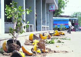 Broken flower pots at the district courts complex, Faridabad, where miscreants indulged in vandalism