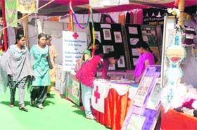 Visitors evince keen interest at an employment fair in Jammu
