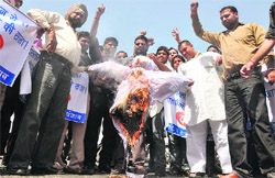 Members of the Vishv Hindu Parishad burn an effigy of the UAE government in Ludhiana.