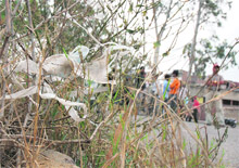 Used masks lying in the open in Civil Hospital, Ludhiana