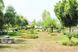 A park at Sarabha Nagar in Ludhiana.