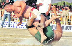 The match between Pakistan and Canada in progress on Sunday. 