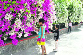 Children enjoy full bloom in Dehradun on Monday.