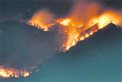 Fire in the Beriwada forest ranges Teera beat of the Raja Ji National Park visible from Haridwar.