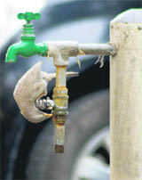 A bird laps up water drops from a tap to quench its thirst on the NDRI campus in Karnal