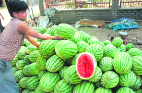 A vendor sells watermelons in Jammu.