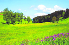 A scenic view of the Kashmir valley
