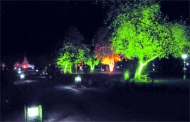 A view of an illuminated Rose Garden after MP Harsimrat Kaur Badal inaugurated a new lighting system in Bathinda late on Wednesdy evening. Tribune photo: Pawan Sharma