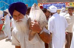 A farmer carrying a bag of seeds at a training camp organised at the Kheti Bhawan in Bathinda on Wednesday. Tribune photo: Pawan Sharma