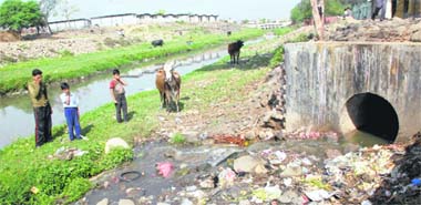 Residents hold their breath to the stench at the sewer flowing from Kajheri into the N-Choe