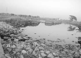 A drain that has been polluted with sewage discharge from factories in Dera Bassi