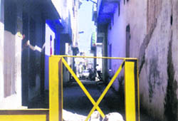 A gate installed illegally by certain residents of New Janta Nagar, Ludhiana.